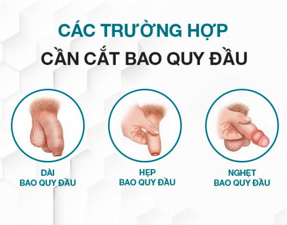 1763017555782633.png Thiết kế chưa có tên (81).png