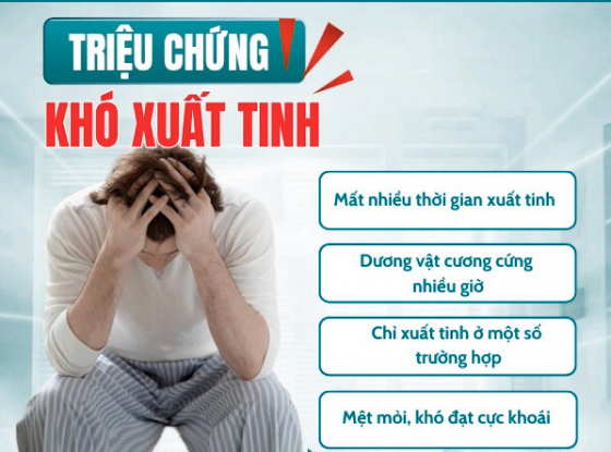 Thiết kế chưa có tên (82).png