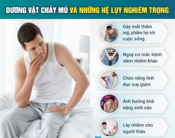 1763026079564049.png Thiết kế chưa có tên (82).png