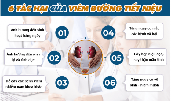 1763088093342123.png 48 (1).png