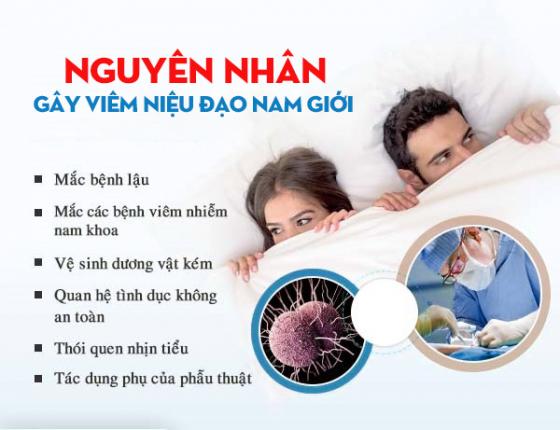 1763088137514358.jpg 65.jpg