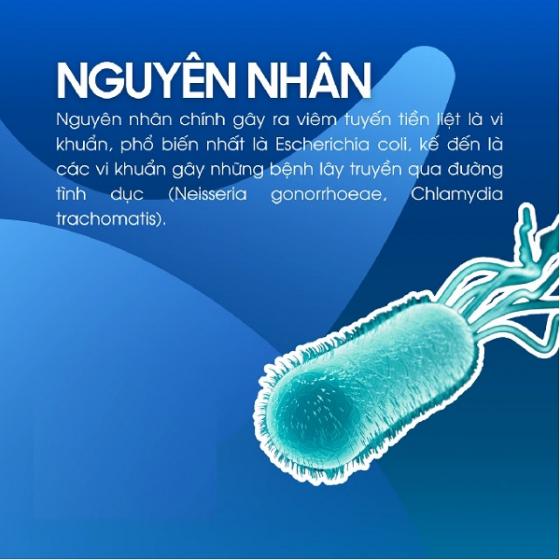 1763088456802889.jpg 76.jpg