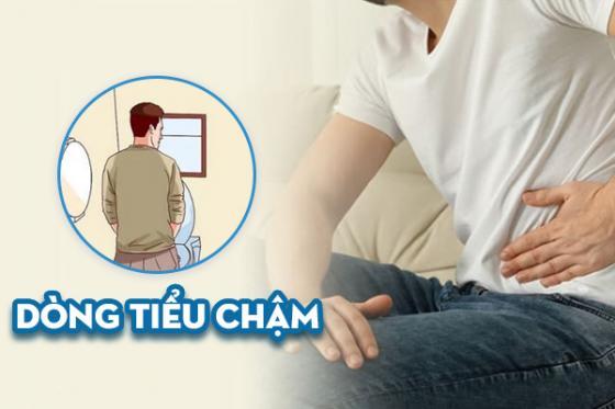 1763090338146239.jpg 50.jpg