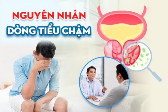 1763090370510991.jpg 49.jpg